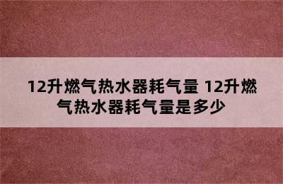 12升燃气热水器耗气量 12升燃气热水器耗气量是多少